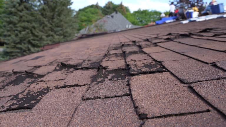 Best Asphalt Shingle Roofing  in Hanley Hills, MO