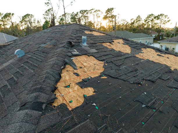 Best Roof Moss and Algae Removal  in Hanley Hills, MO