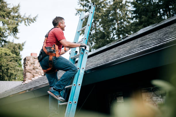 Best Roof Maintenance and Cleaning  in Hanley Hills, MO