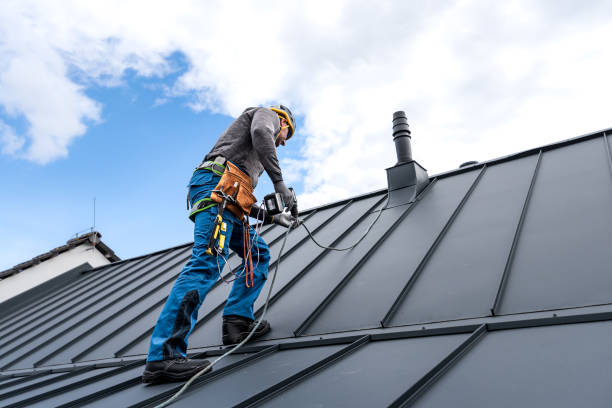 Best Roof Maintenance and Cleaning  in Hanley Hills, MO